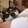 あやちょ🙉♡🐶#わんこんてすと