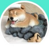 ぷくぷぷ