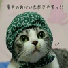 🌸❤️‍🩹昭宏ともちいを🌸❤️‍🩹愛してる