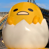 244