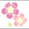 🌻ツッカケ🌼