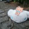キャッチ🍠🧞‍♂️🐈‍⬛🤍🧸💙🕊🌷みかりん