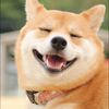 犬夜叉ブランコ