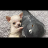 モモンガ🧀🦔🌻🦈❤️