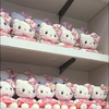 茅野