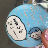 ましゅまろ🐰(ましゅ)