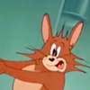 ゼリー