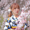 🎆🌸まぁ👘🌌