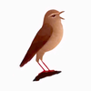 なっちん🐦‍⬛🧃