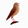 なっちん🧃🐦‍⬛#すみっ子