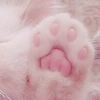 りんご