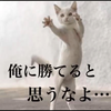 もちゃ🥺