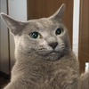 ぢの゛