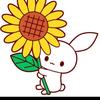 ひまわり君🌻新垢
