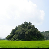 いつき🌱‬‪