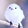 ユーザーアイコン
