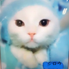 シロウ