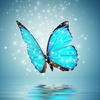 ꒰ঌ‎🤍໒꒱🐈‍⬛🦋ヨシ꒰ঌ‎🤍໒꒱🐈‍⬛🦋