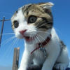 ちびたん