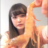 🐷とるちん🦐