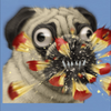 EBIZOO