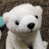 しきくんママ🐻‍❄️🍫