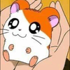 きほ