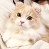 HiRoKi