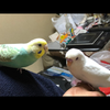ユーザーアイコン