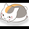 にゃんこせんせーい！