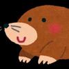  もぐりん