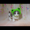 【我】たかぽん🏐🦔