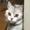 ふくぱぱ