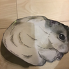 るいちゃん