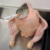 制裁