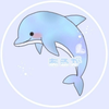 アルガ🐬🤍 