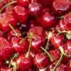 はる🍒あいらん🍒MG