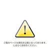 (仮)