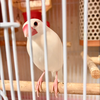 しょーちゃん