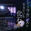 僕がどんなに好きか君は知らない
