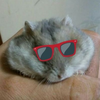たたたたいじゅ₍ ᐢ. ̫ .ᐢ ₎