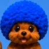 ユーザーアイコン