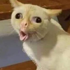 足が痛いんや😫