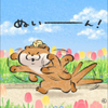 よっしー  あわわわわー