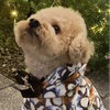 どん
