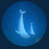 エビたん🦐8代目🐬💙光