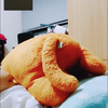 りゅうせい