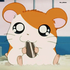 ‪🐹ハムちん🦭🩵‪🐹