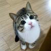 ○○大学の王子さま
