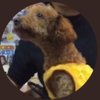くまこ
